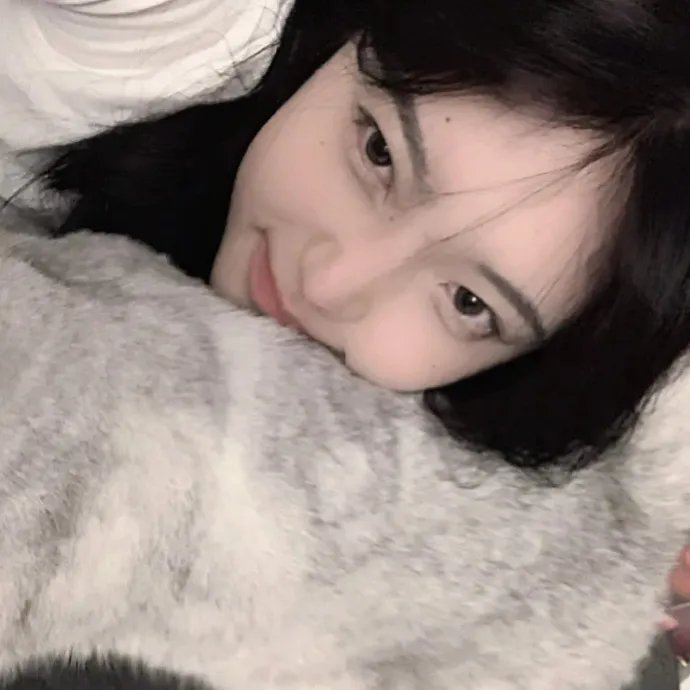 猫咪马汀